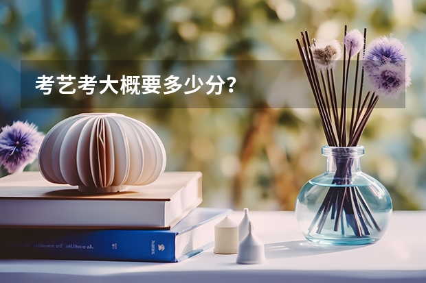 考艺考大概要多少分？