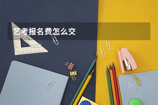 艺考报名费怎么交