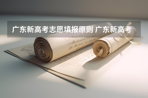 广东新高考志愿填报原则 广东新高考一个学校可以报几个专业组