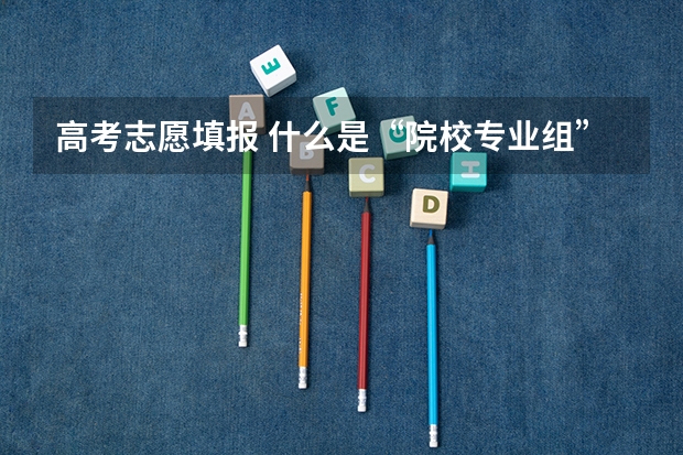 高考志愿填报 什么是&ldquo;院校专业组&rdquo;?院校专业组填报需要注意什么？
