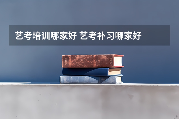 艺考培训哪家好 艺考补习哪家好