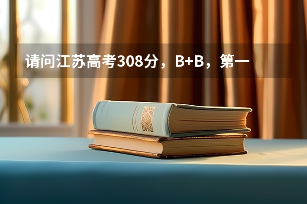 请问江苏高考308分，B+B，第一志愿可以填报哪些学校？