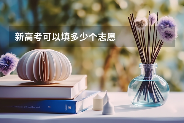 新高考可以填多少个志愿