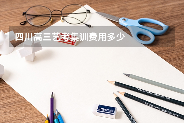 四川高三艺考集训费用多少
