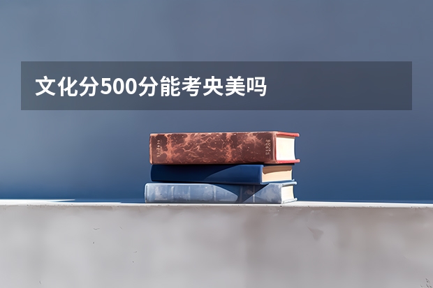 文化分500分能考央美吗