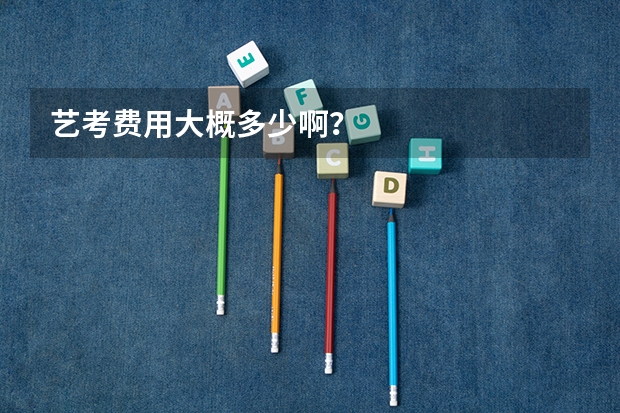 艺考费用大概多少啊？