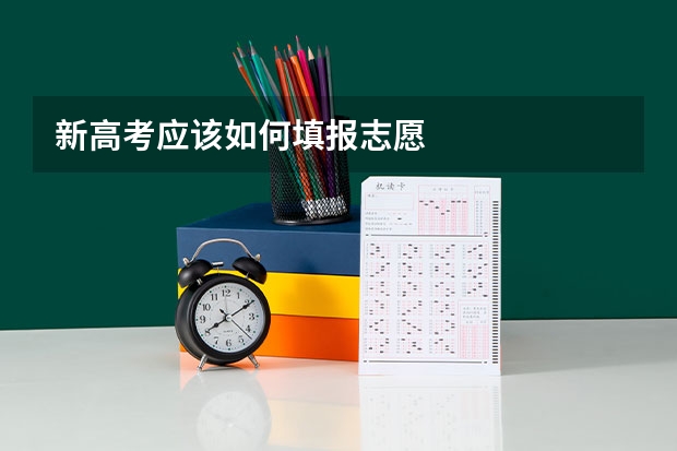 新高考应该如何填报志愿