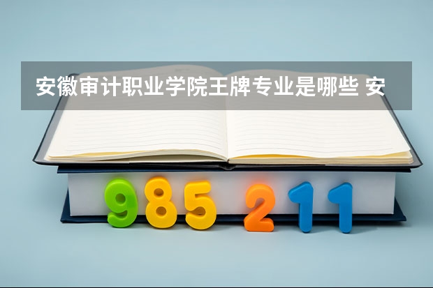 安徽审计职业学院王牌专业是哪些 安徽审计职业学院专业推荐